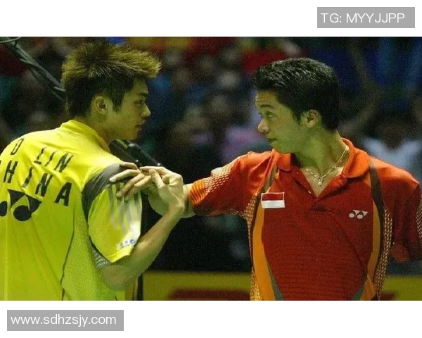 林丹与陶菲克巅峰对决高清回顾两位羽坛传奇的精彩瞬间与经典时刻 林丹与陶菲克巅峰对决高清回顾两位羽坛传奇的精彩瞬间与经典时刻