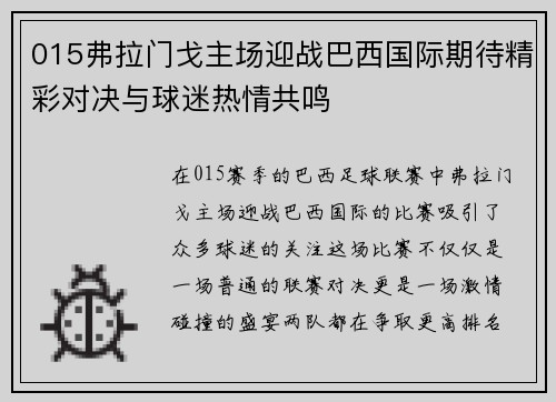 015弗拉门戈主场迎战巴西国际期待精彩对决与球迷热情共鸣