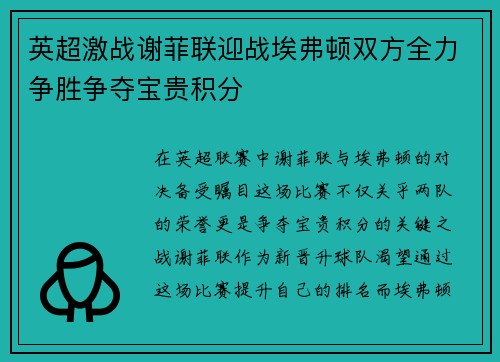英超激战谢菲联迎战埃弗顿双方全力争胜争夺宝贵积分