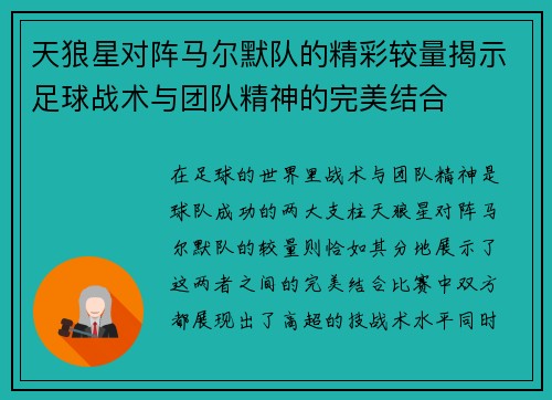 天狼星对阵马尔默队的精彩较量揭示足球战术与团队精神的完美结合